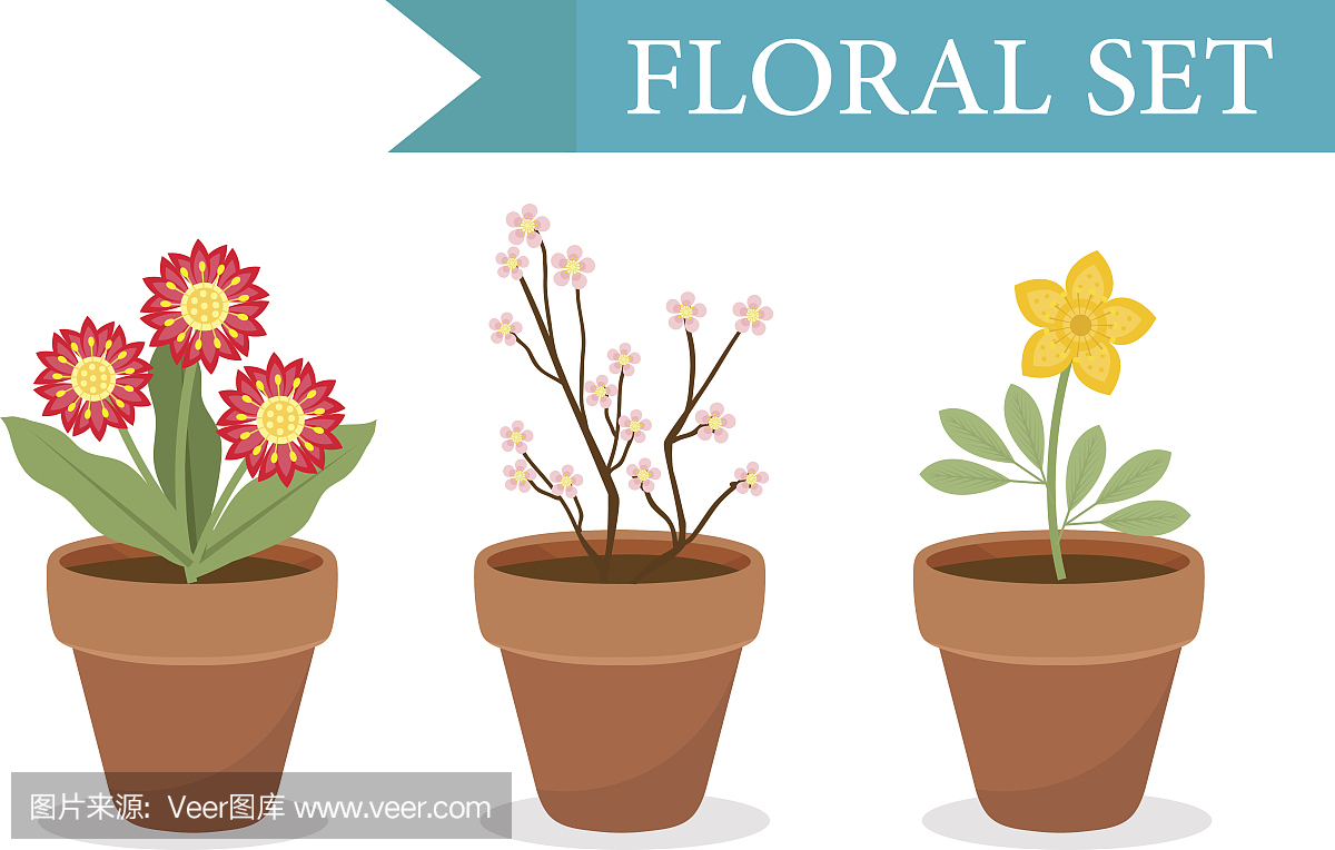 花盆有不同的花卉设置,平的风格。花盆收集孤立在白色的背景。矢量插图,剪辑艺术。